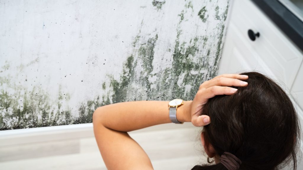 A woman looks at mold in her home and wonders how to prevent mold and mildew in the bathroom.