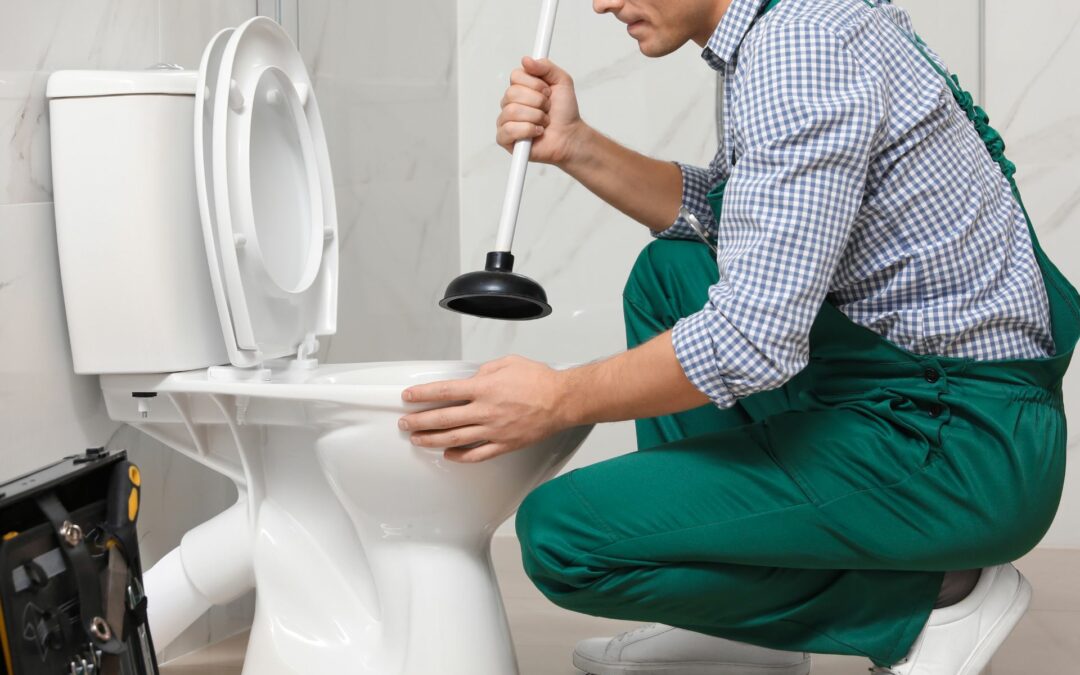 A Brief Guide To Toilet Problems